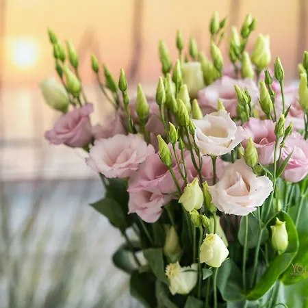 Your Holidays Waves Panorama D866, Parking Gratis