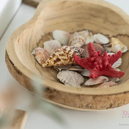 Your Holidays Waves Panorama D866