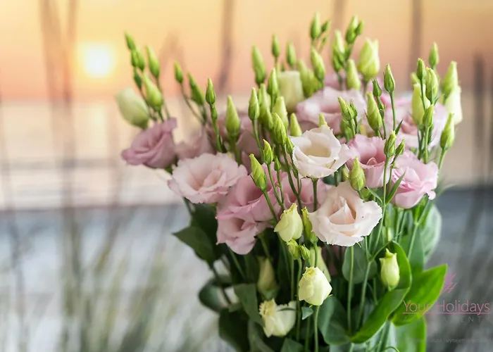 Your Holidays Wave Panorama D866, Parking Gratis